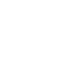 Appian Corporation logo