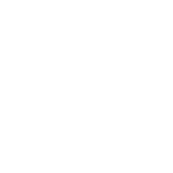 ASML Holding N.V. logo