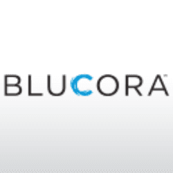 Blucora, Inc. logo