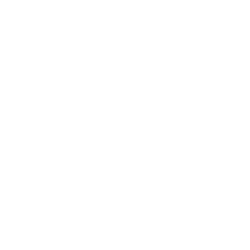 The Gap, Inc. logo