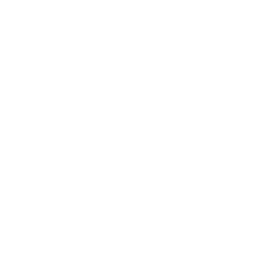 CarMax, Inc. logo