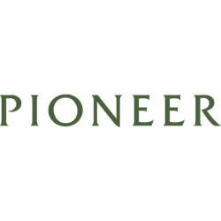 Pioneer Natural Resources Company logo