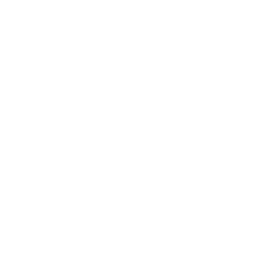 Visa Inc. logo